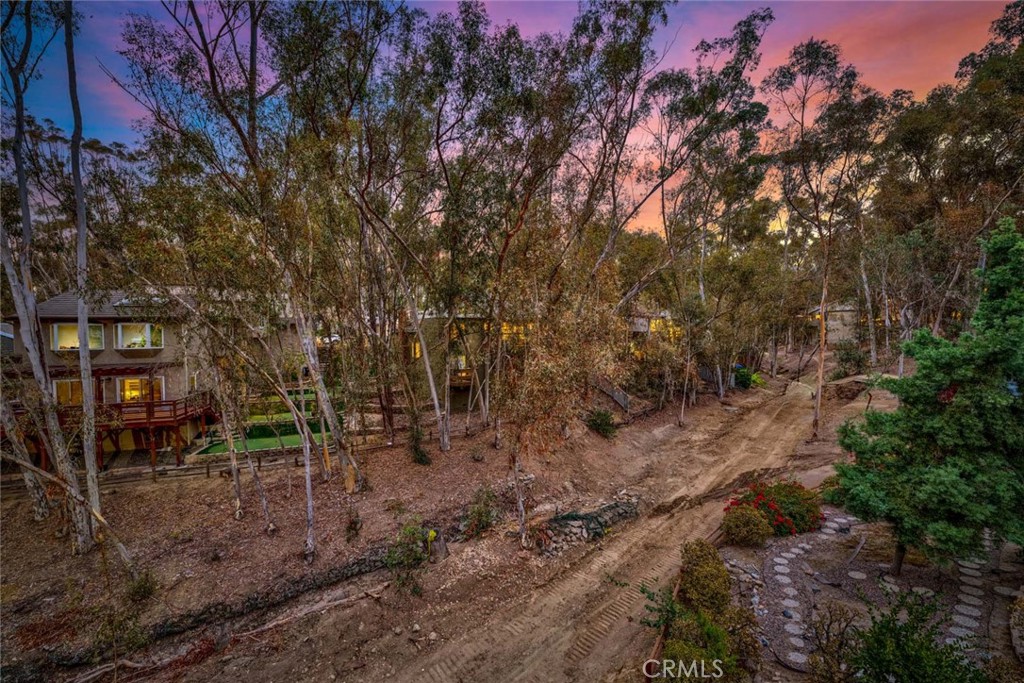 22431 Forest Hill