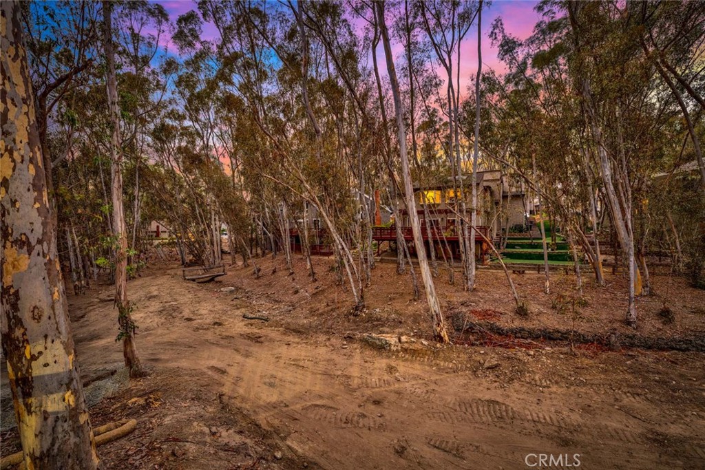 22431 Forest Hill