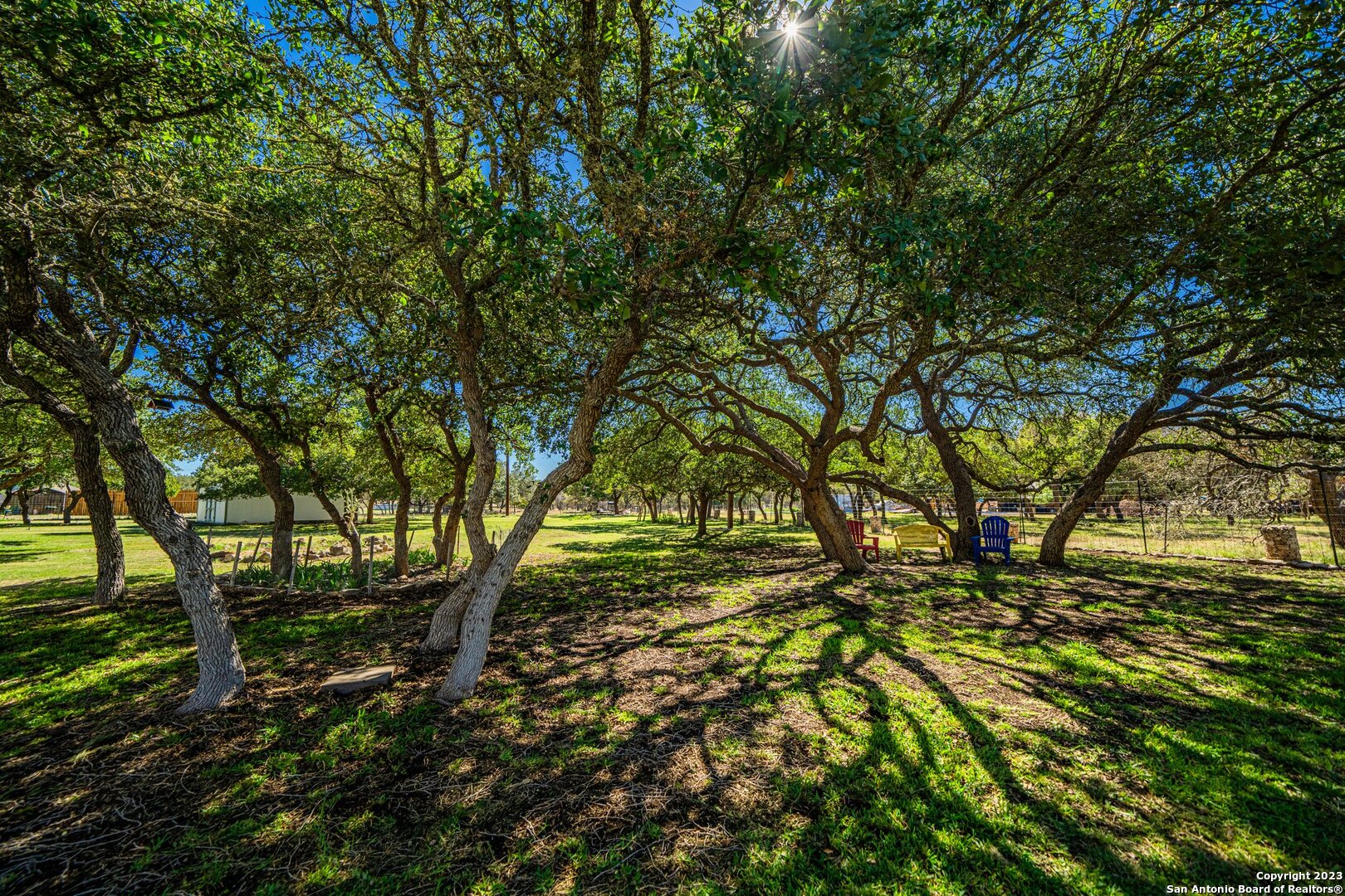 259 Burr Oak Trail