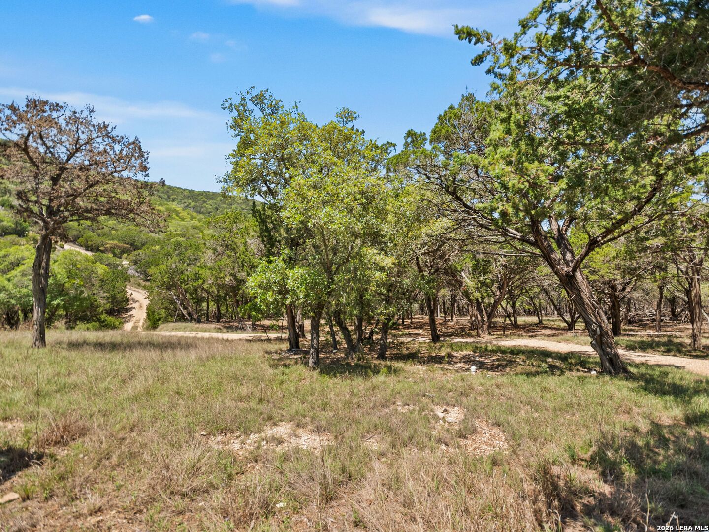 223 Canyon View Dr