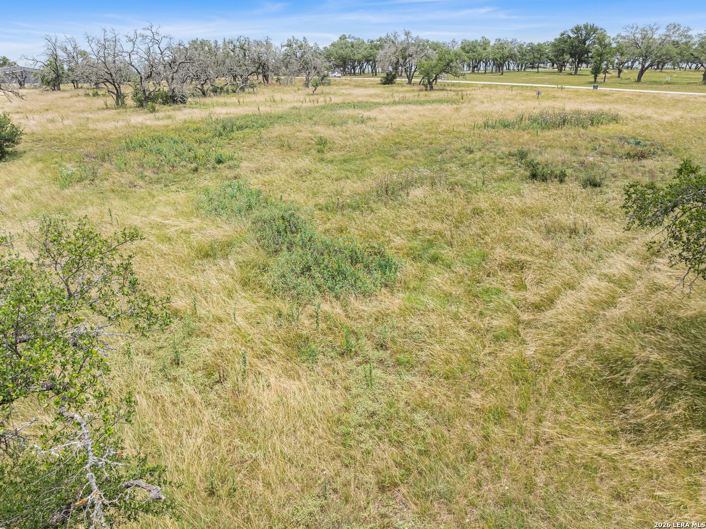 LOT 88 Axis Circle