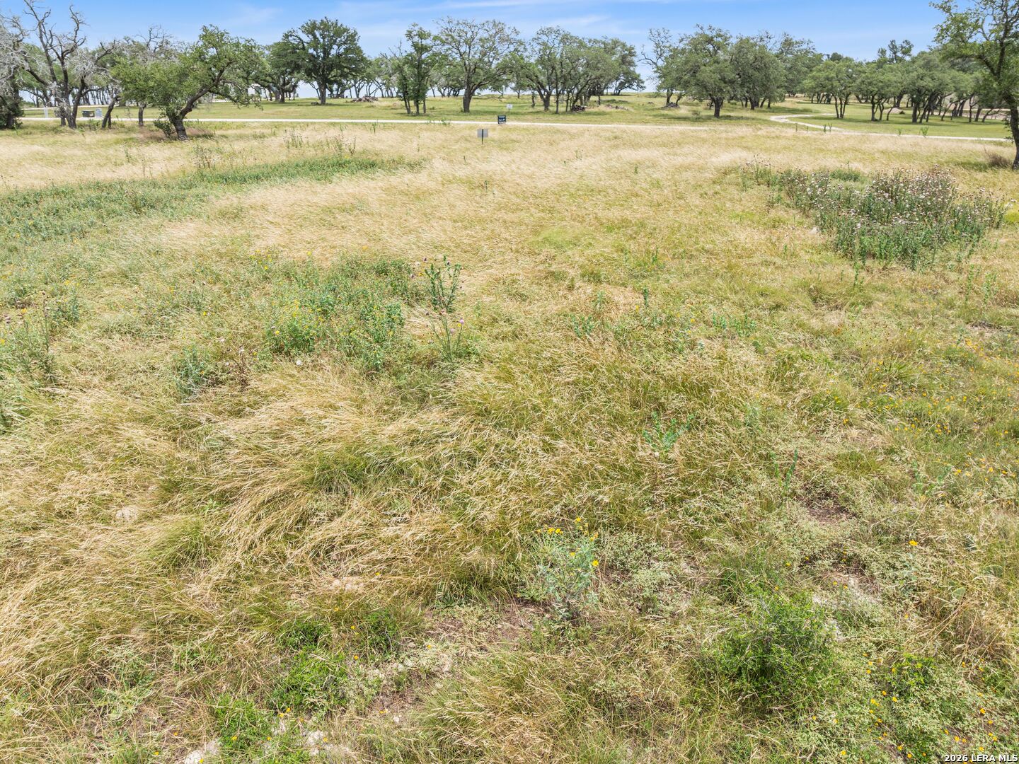 LOT 88 Axis Circle