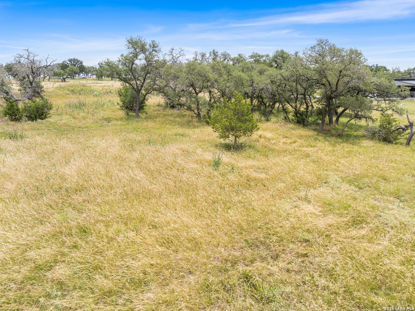 LOT 88 Axis Circle
