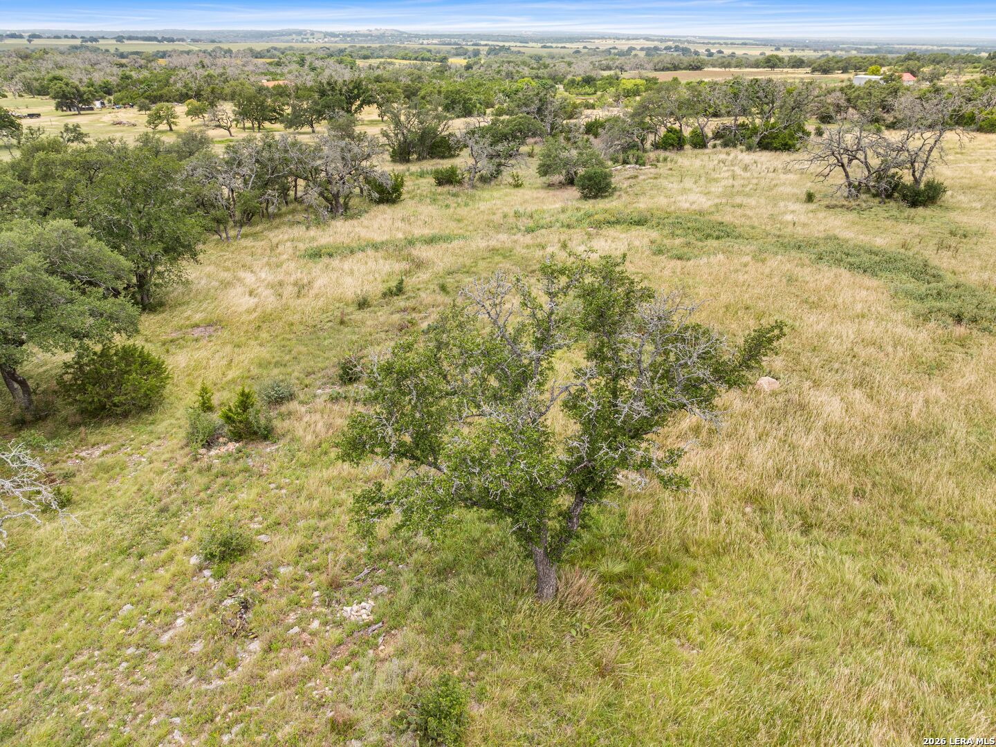 LOT 88 Axis Circle