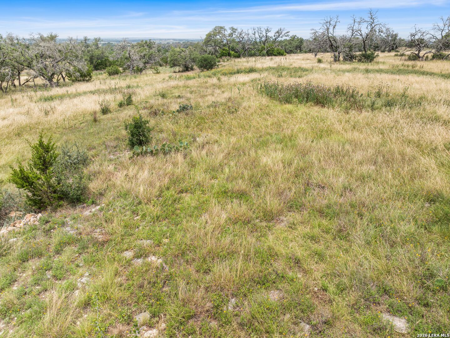 LOT 88 Axis Circle