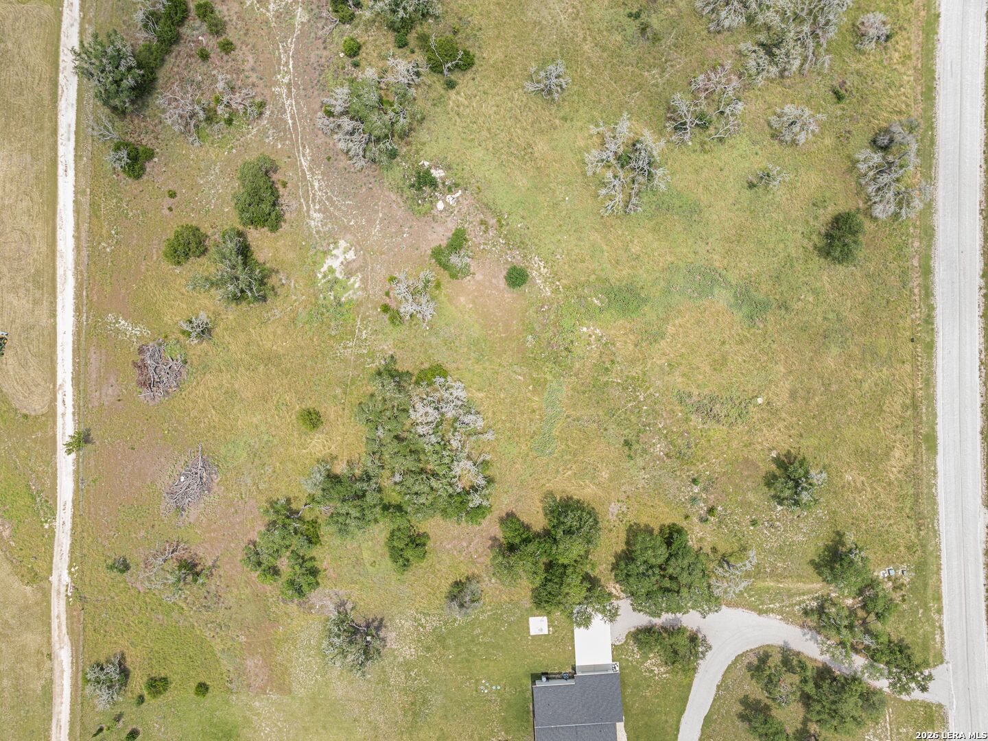 LOT 88 Axis Circle