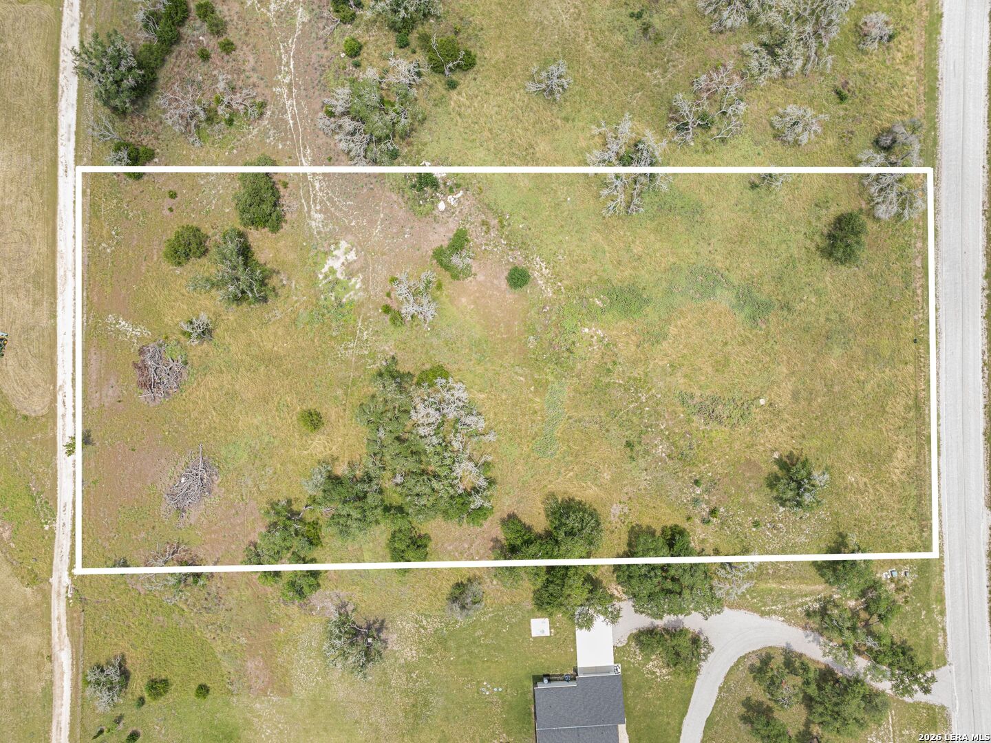 LOT 88 Axis Circle