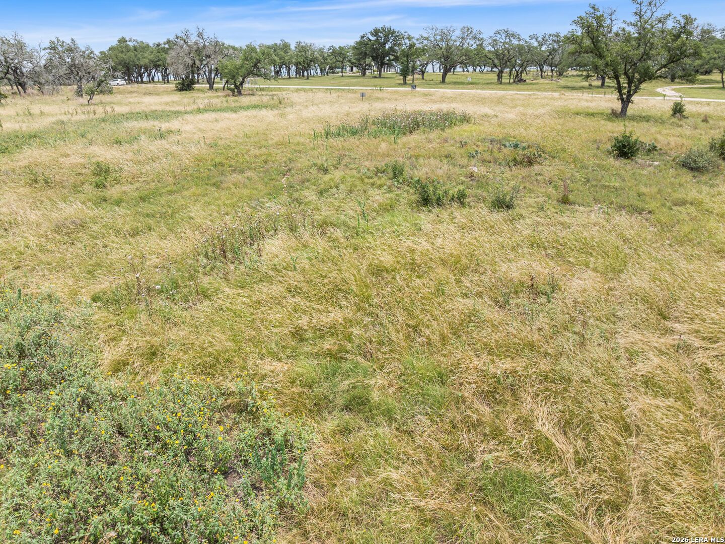 LOT 88 Axis Circle