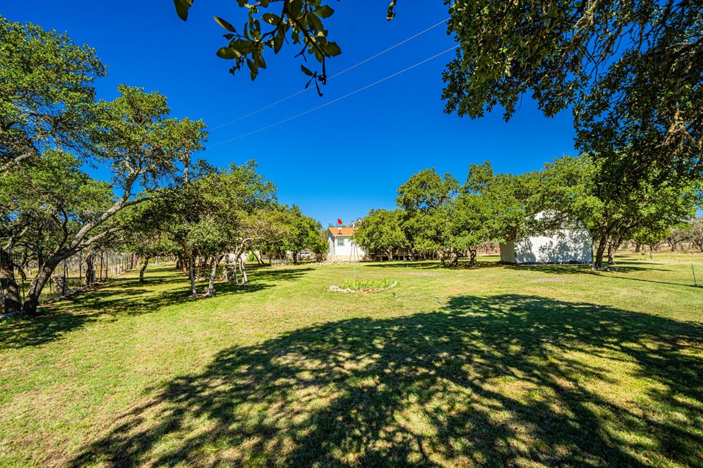259 Burr Oak Trail