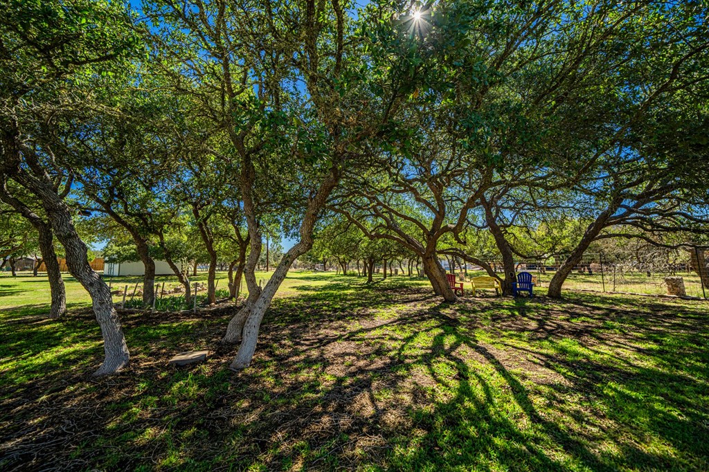 259 Burr Oak Trail