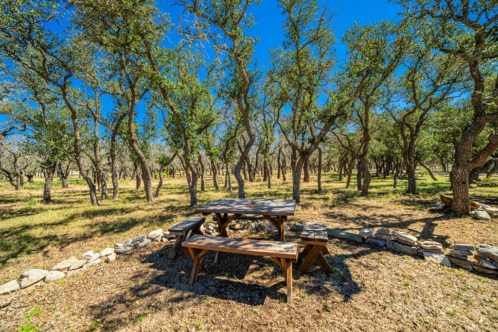 259 Burr Oak Trail