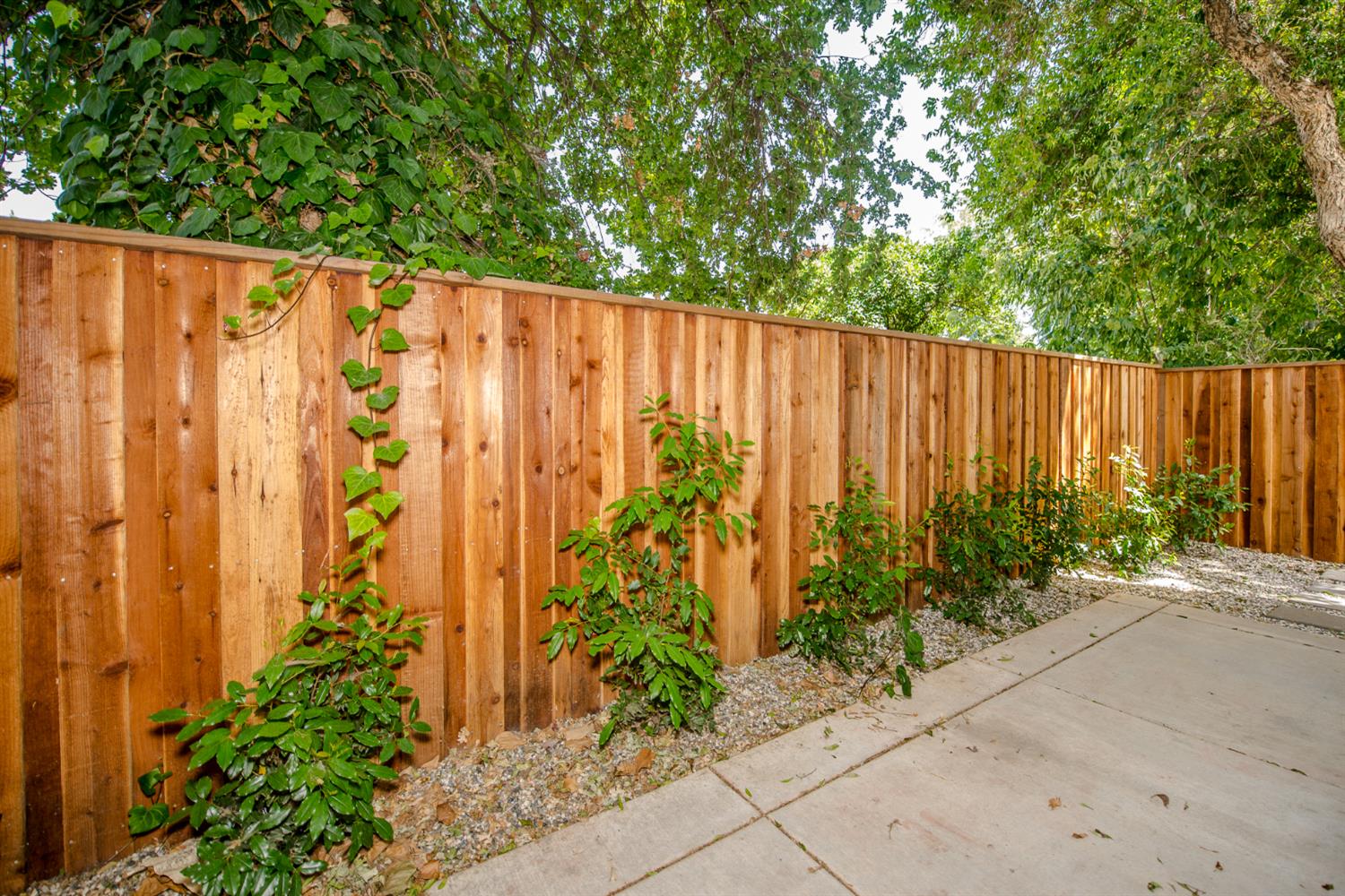 425 Cleveland Street