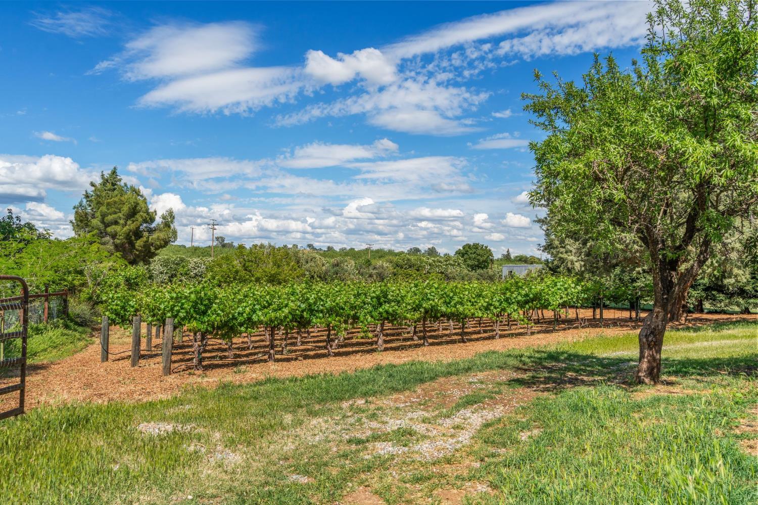 24203 County Road 22
