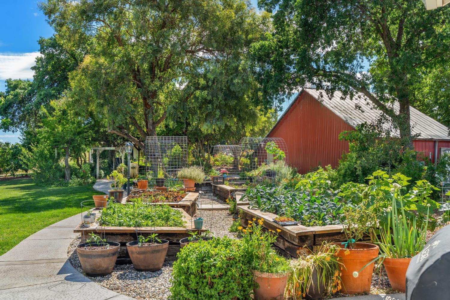 24203 County Road 22