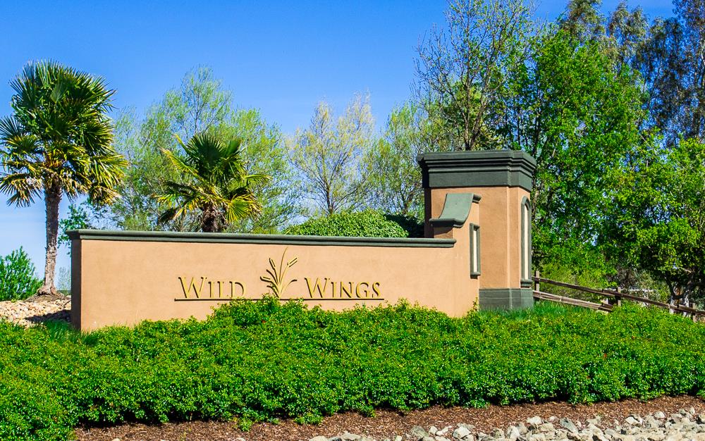 Wild Wings neighborhood entrance sign with a tan stucco monument, palm trees, and landscaped greenery.
