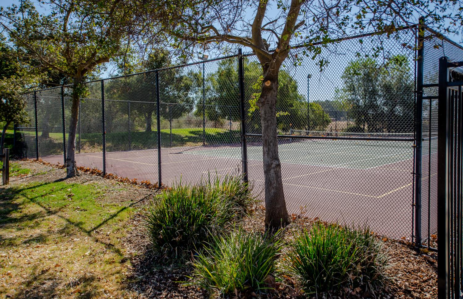 Fenced outdoor tennis court with painted lines, a net, and mature trees.