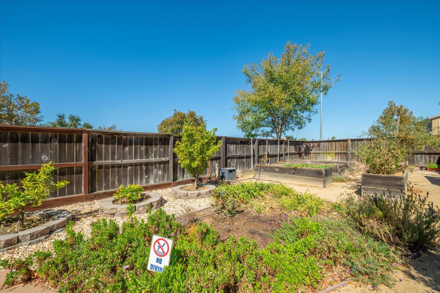 Fenced backyard garden with raised wooden beds, mature tree, and a No Diving sign.