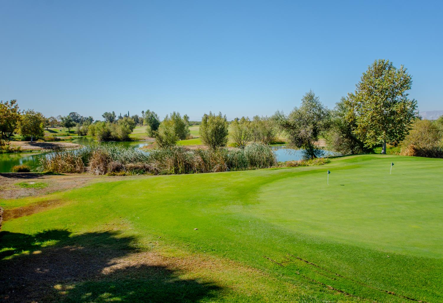 Golf course green with two flagsticks, a pond, and trees.