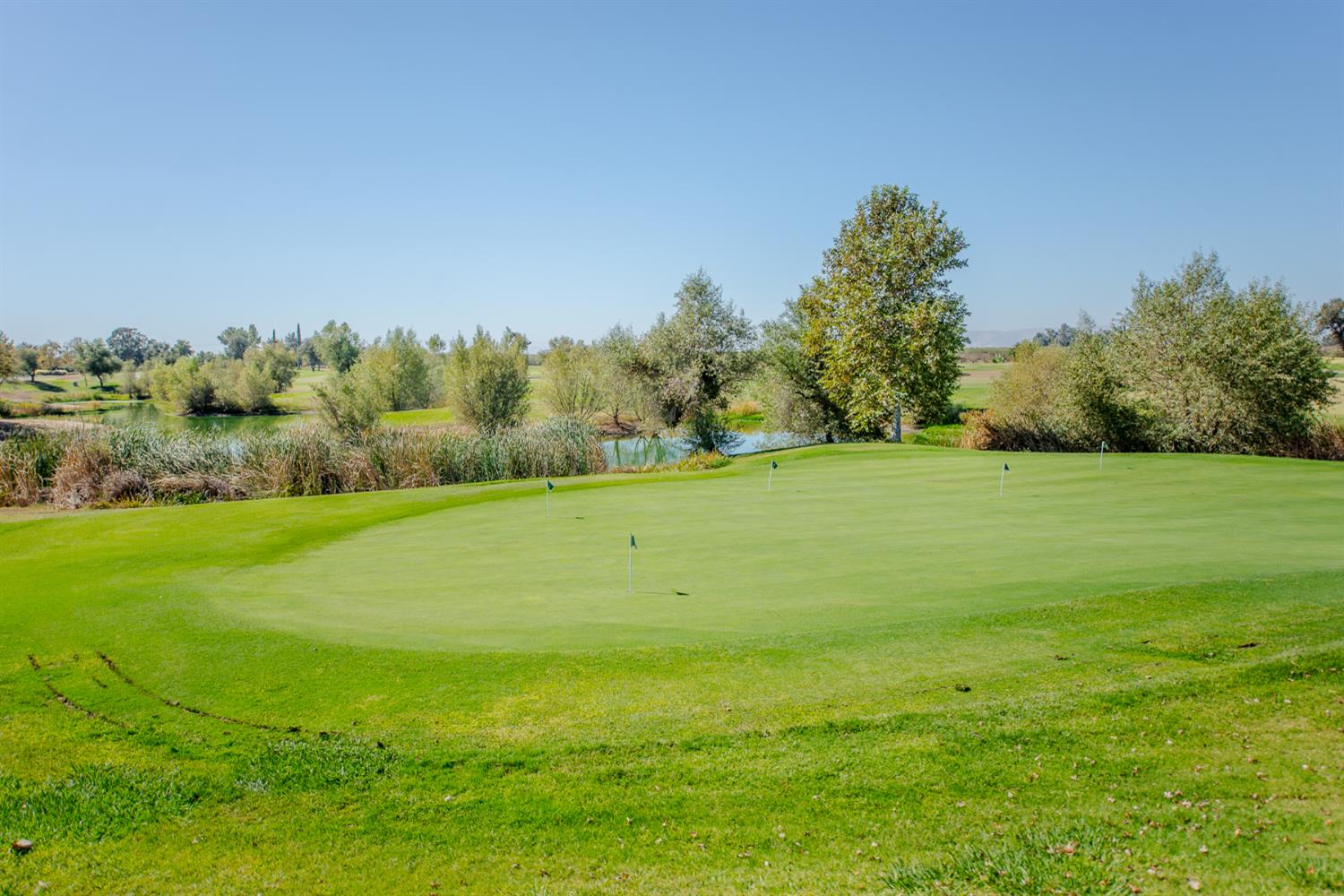 Golf course putting green with flagsticks, a pond and trees beyond.