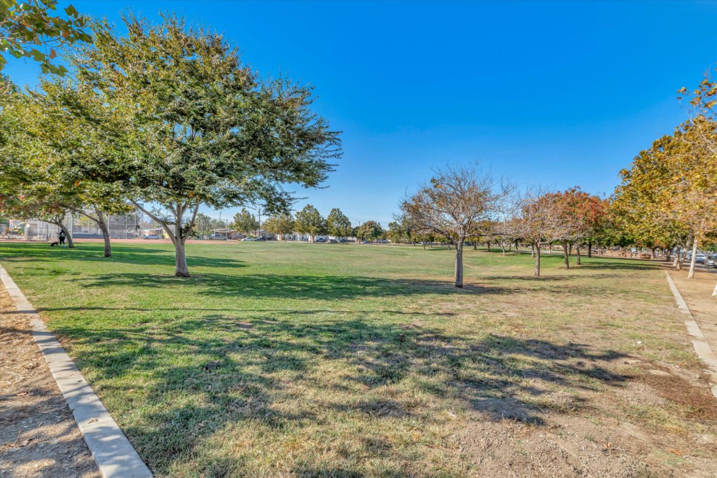 350 E Mission Street Unit: 206
