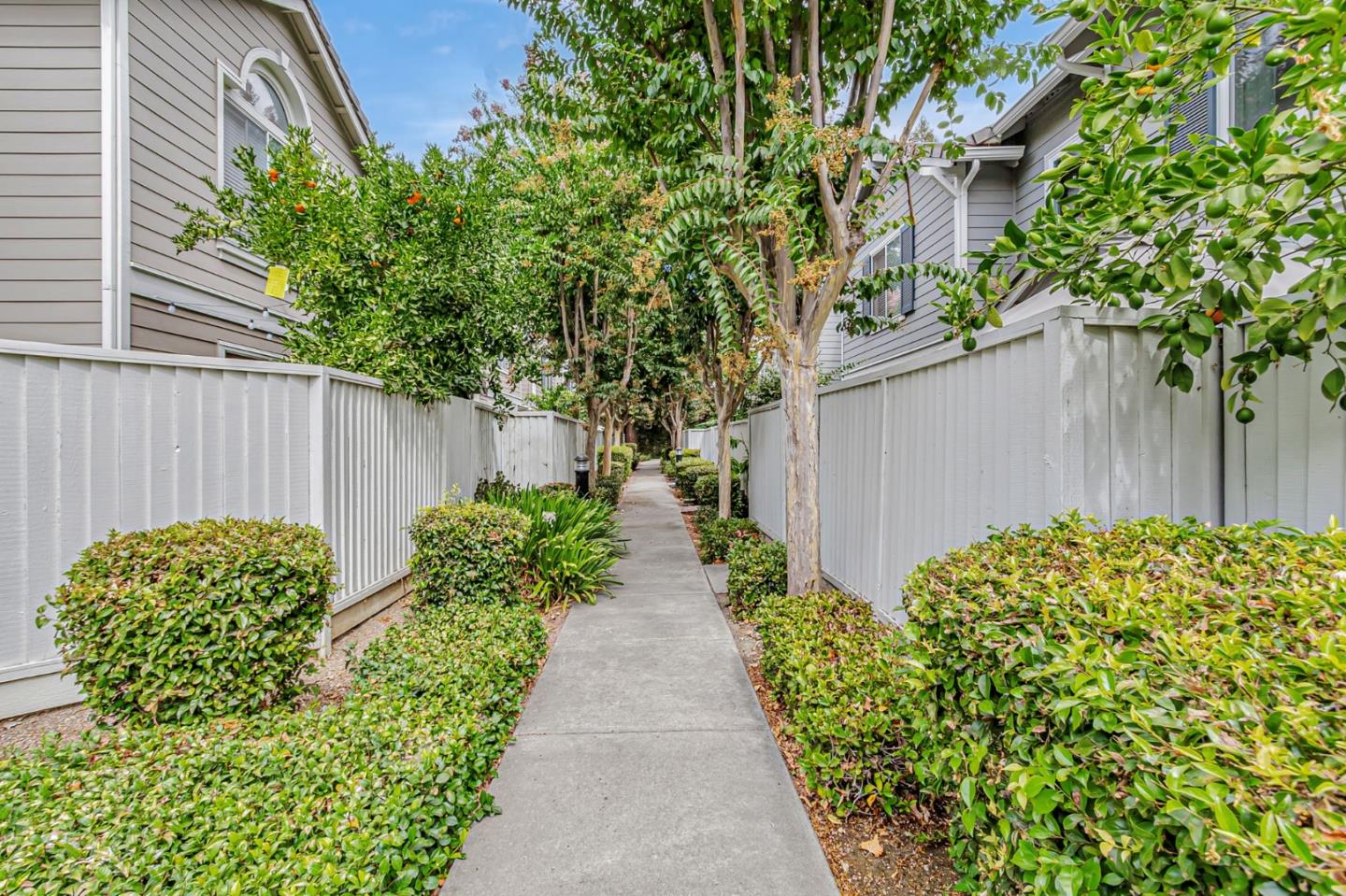 6225 Barb Werner Lane