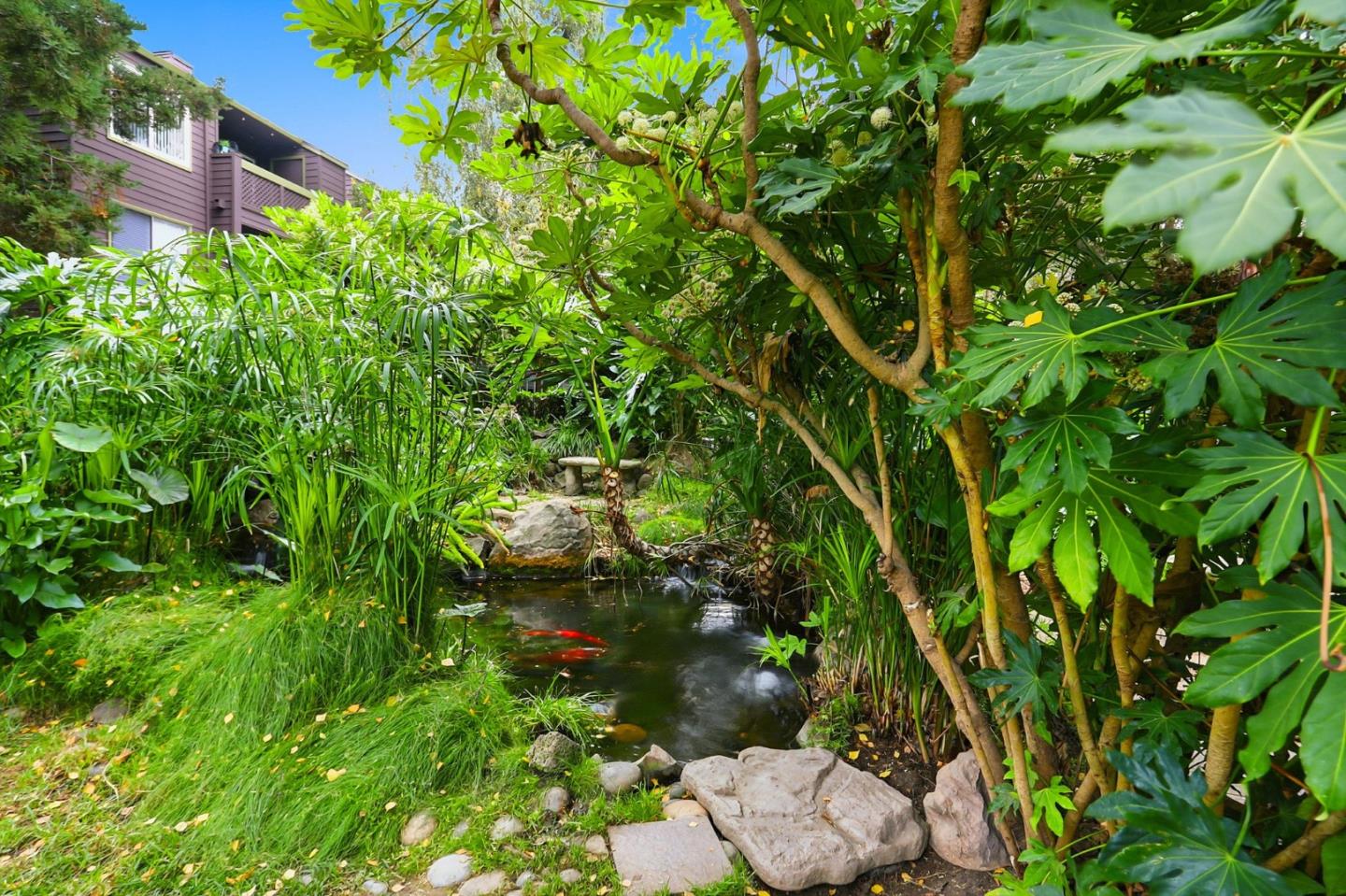 850 Catkin Court