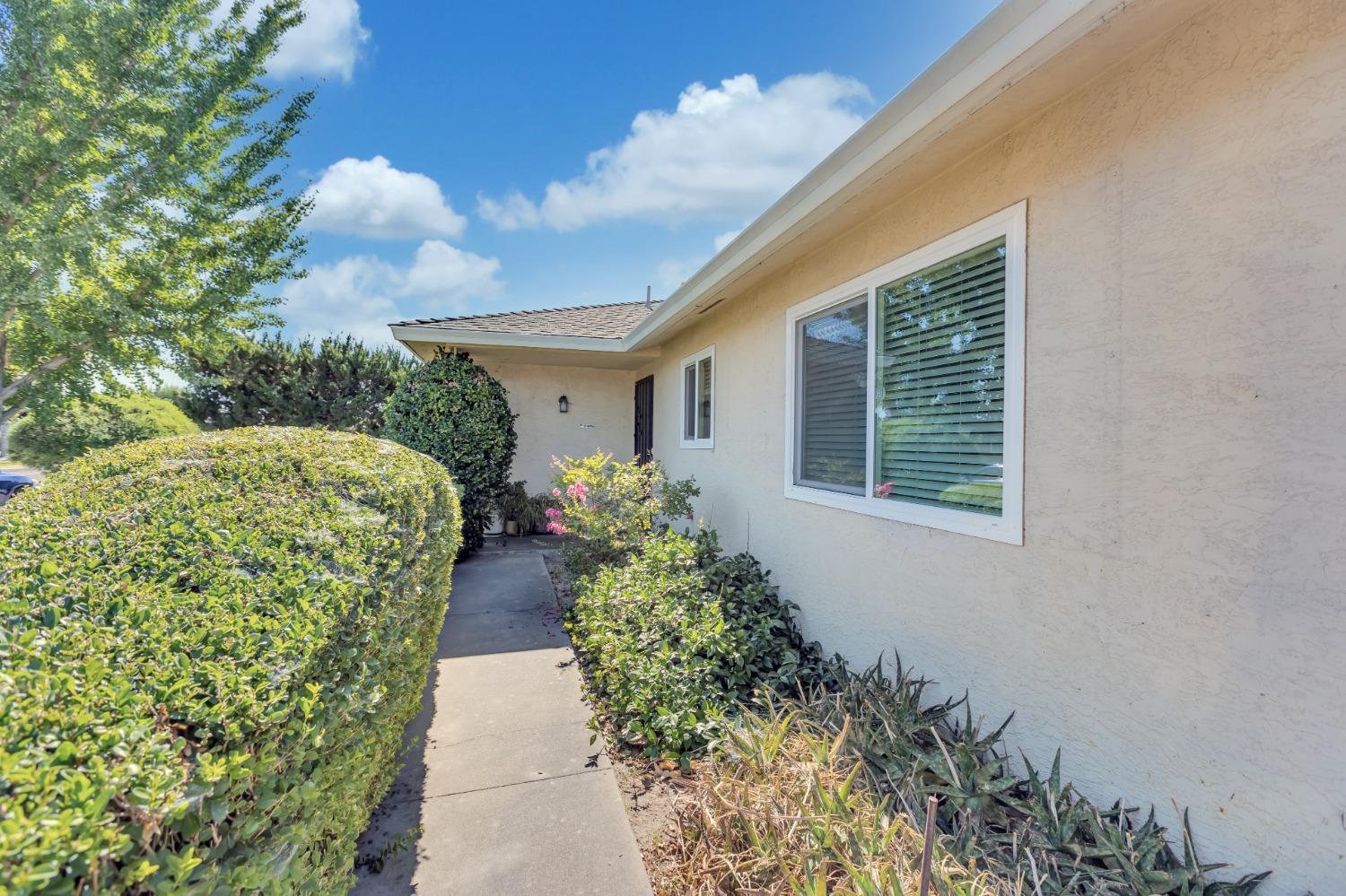 290 Pacemaker Drive