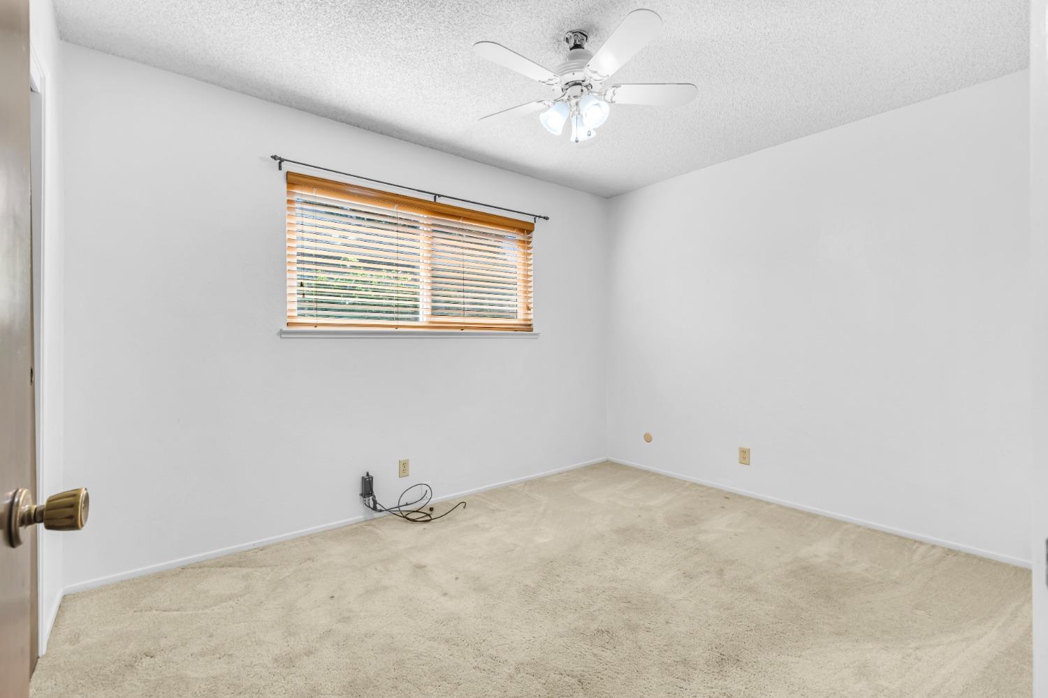 290 Pacemaker Drive