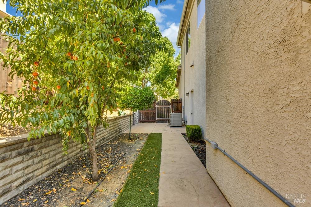 542 Coyote Hills Court