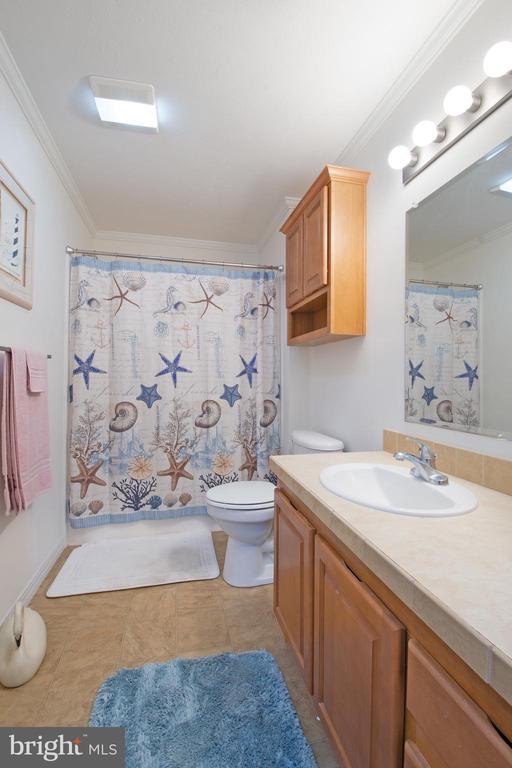 117 BEGONIA LANE 86