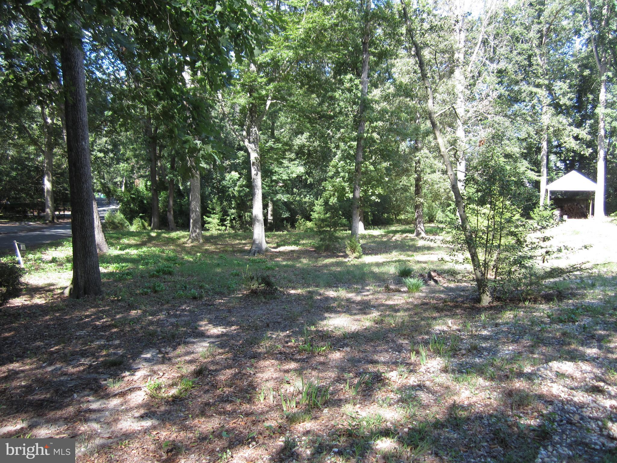 9703 CEDAR LANE