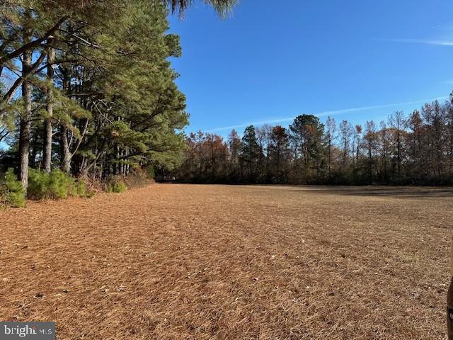 24021 JOHN J WILLIAMS HIGHWAY