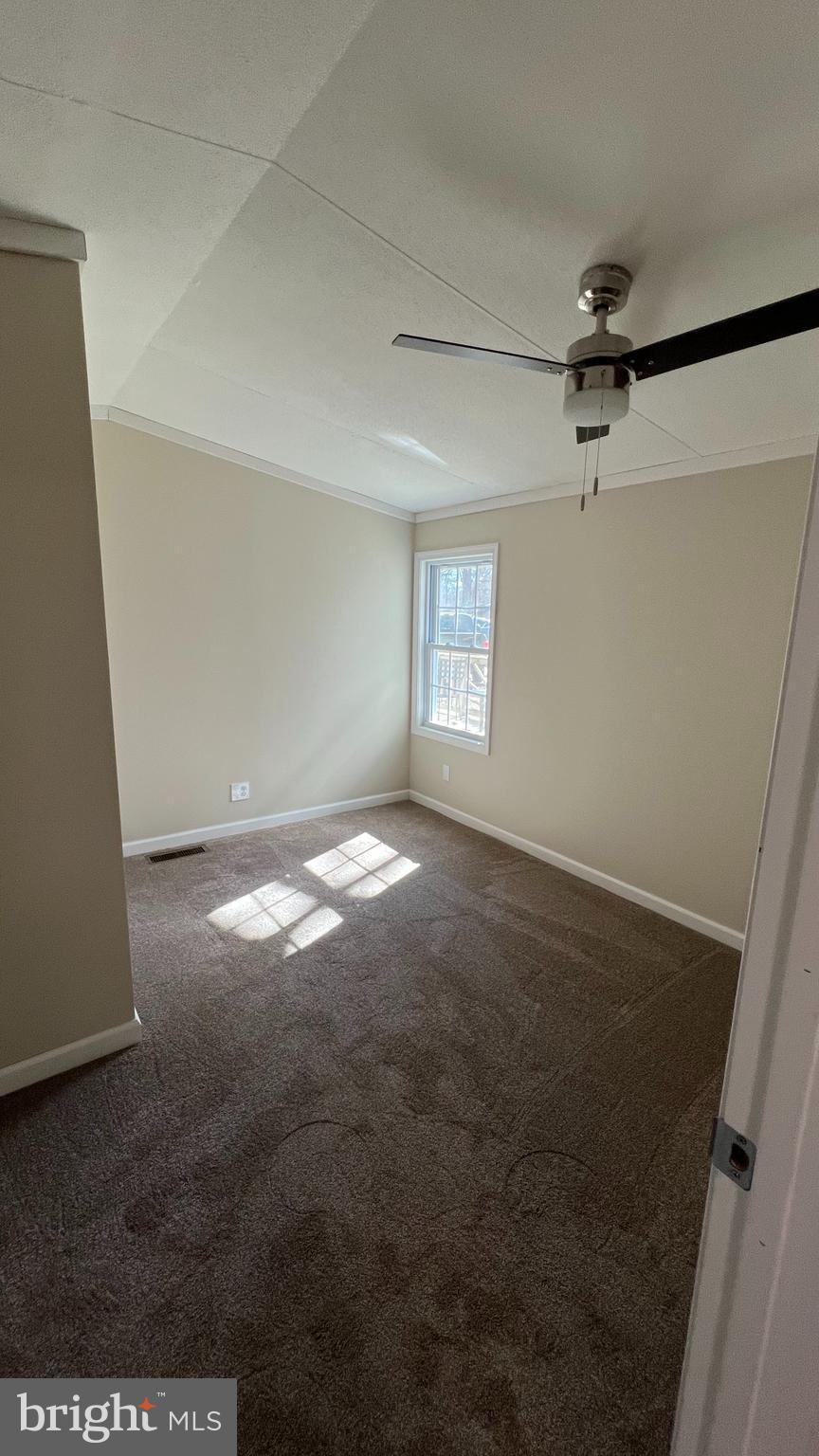 13 SHANNON STREET 37811