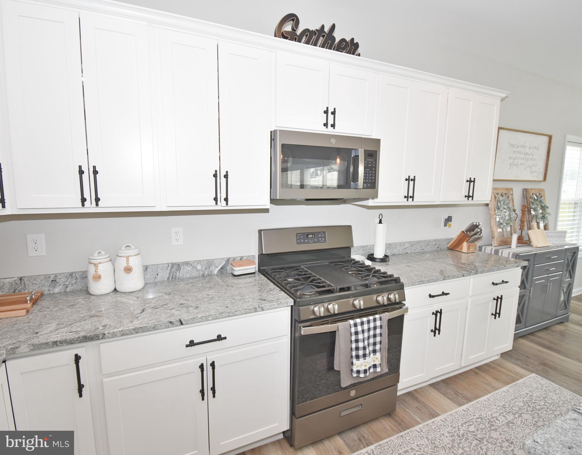 29113 CONTESSA COURT