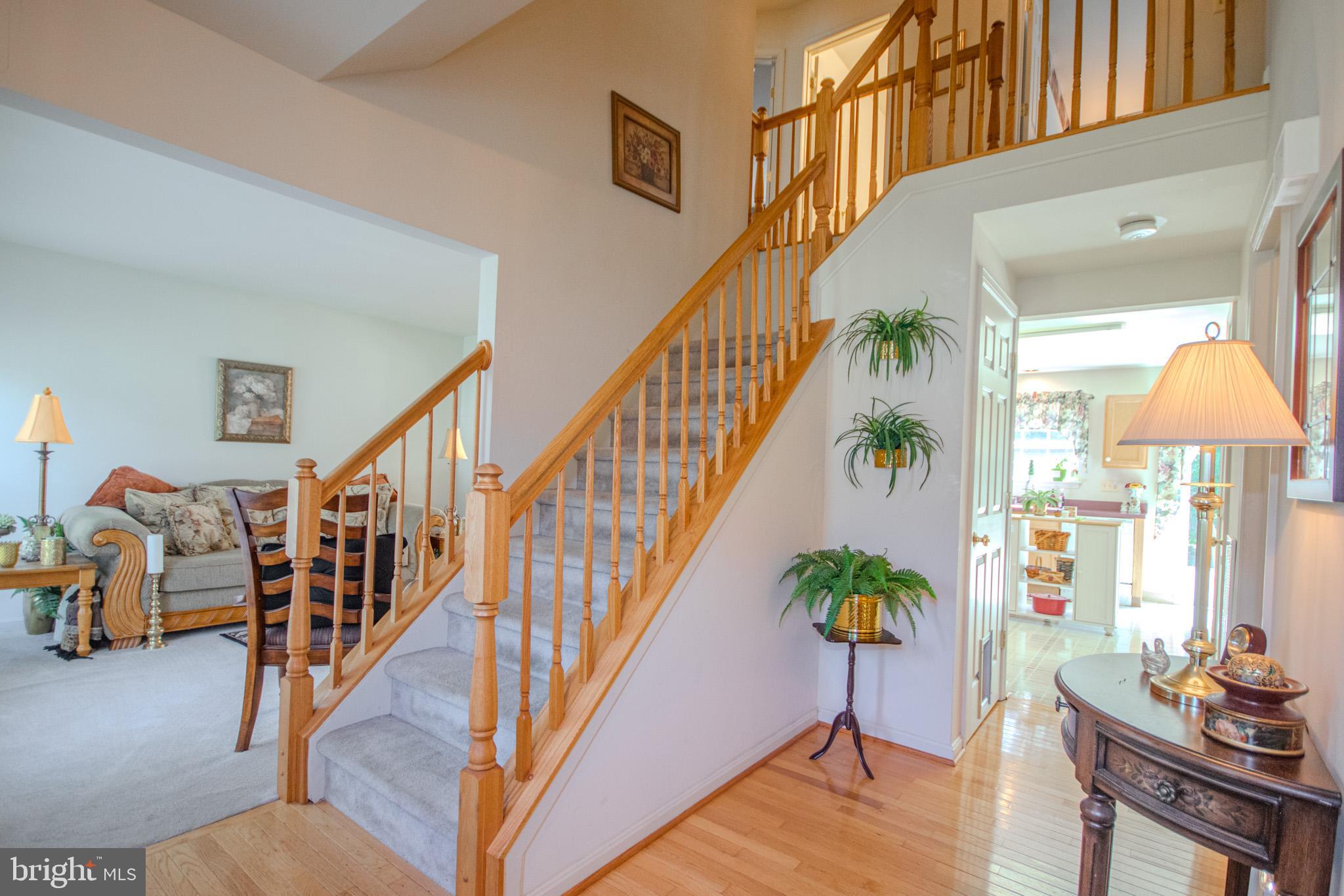 8595 SHADOW LANE
