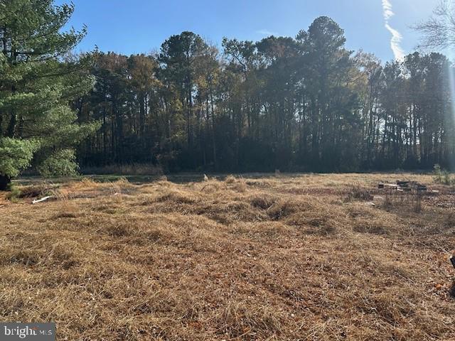 35165 MOUNT HERMON ROAD