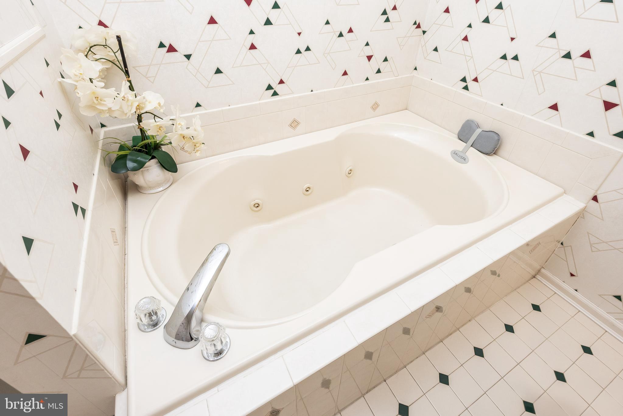 30085 HAYMARKET COURT