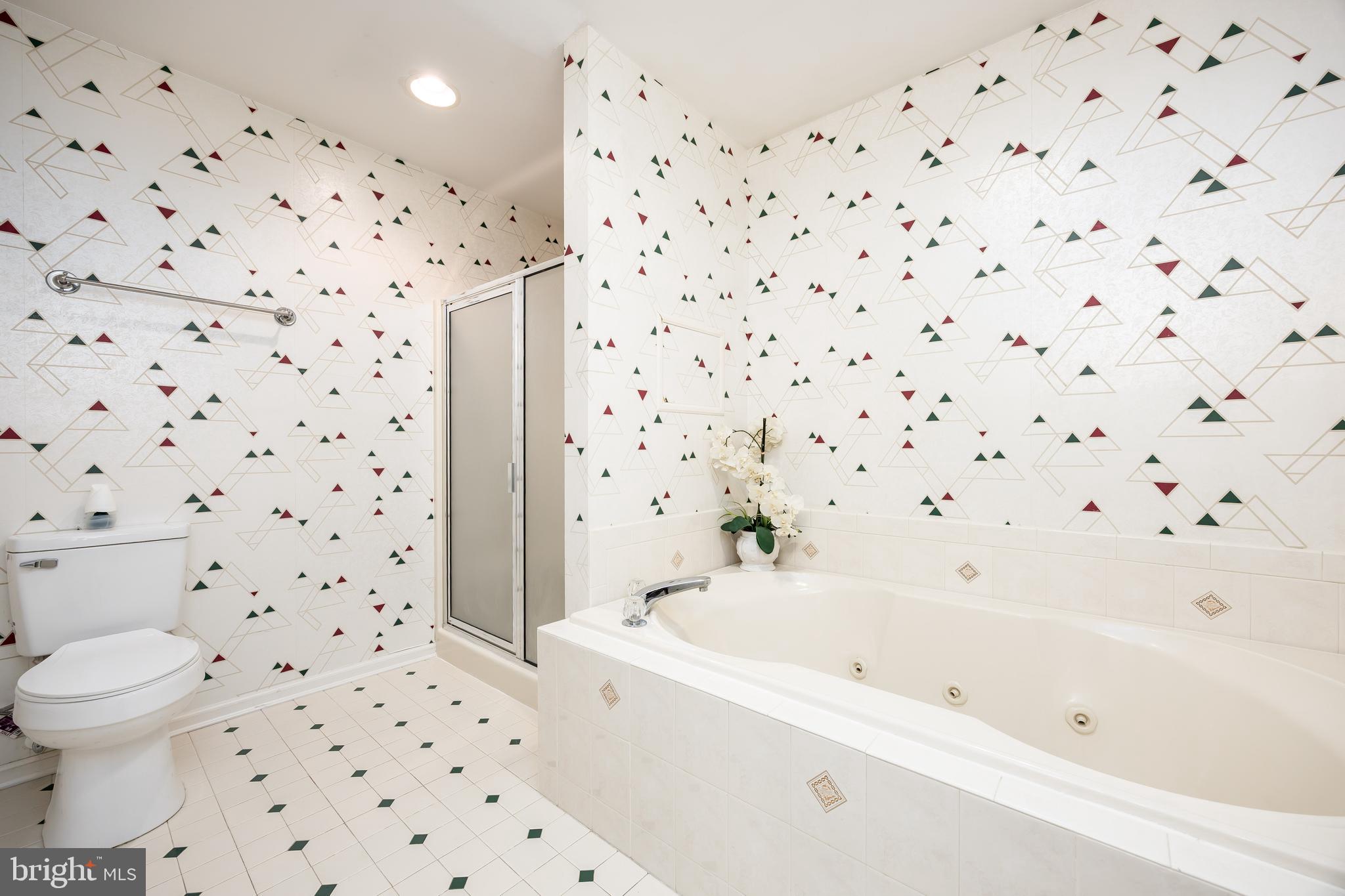 30085 HAYMARKET COURT