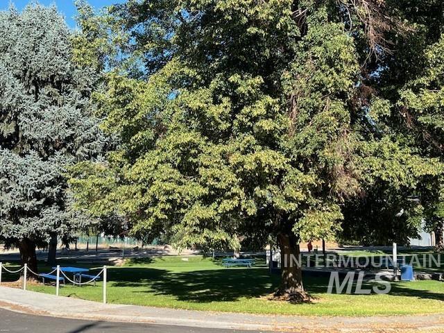 405 Live Oak Avenue