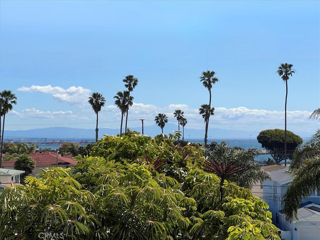 3036 S Kerckhoff Avenue