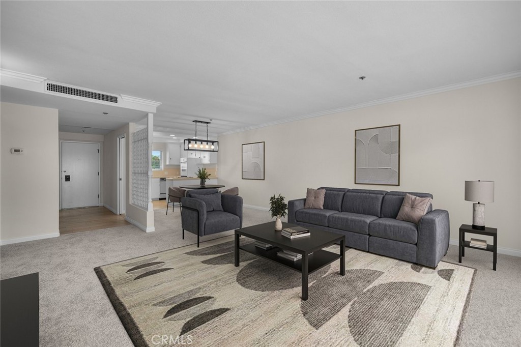 29641 S Western Avenue 411