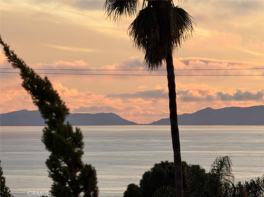 2225 Grenadier Drive