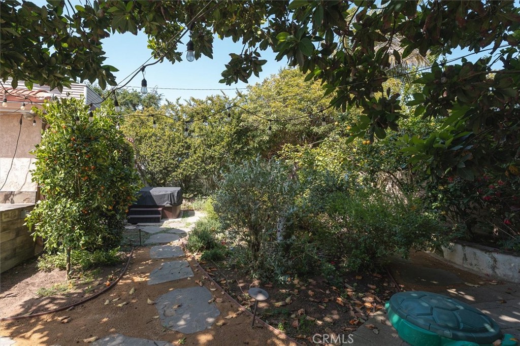 Leafy backyard garden with a stepping-stone path, overhead string lights, and a covered barbecue.