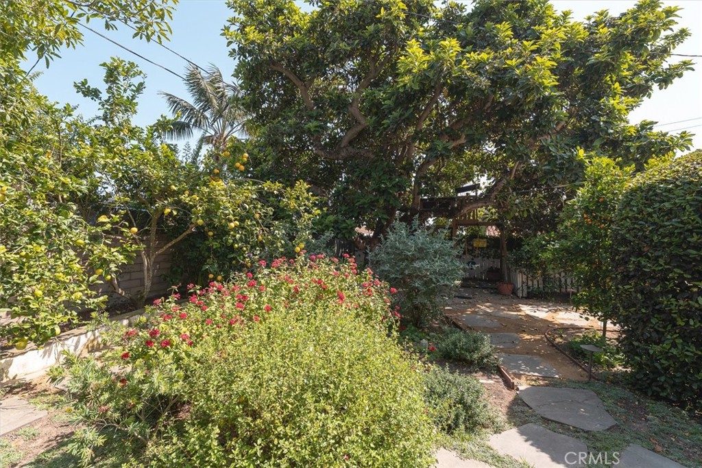 Landscaped garden with a winding stone path, flowering shrubs, and fruit trees.