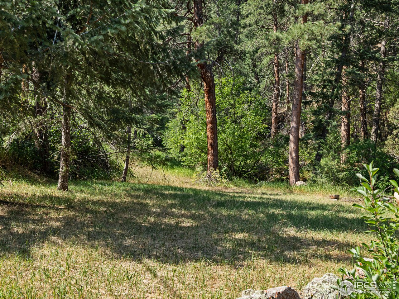 167 Waltonia Rd 171 & 201