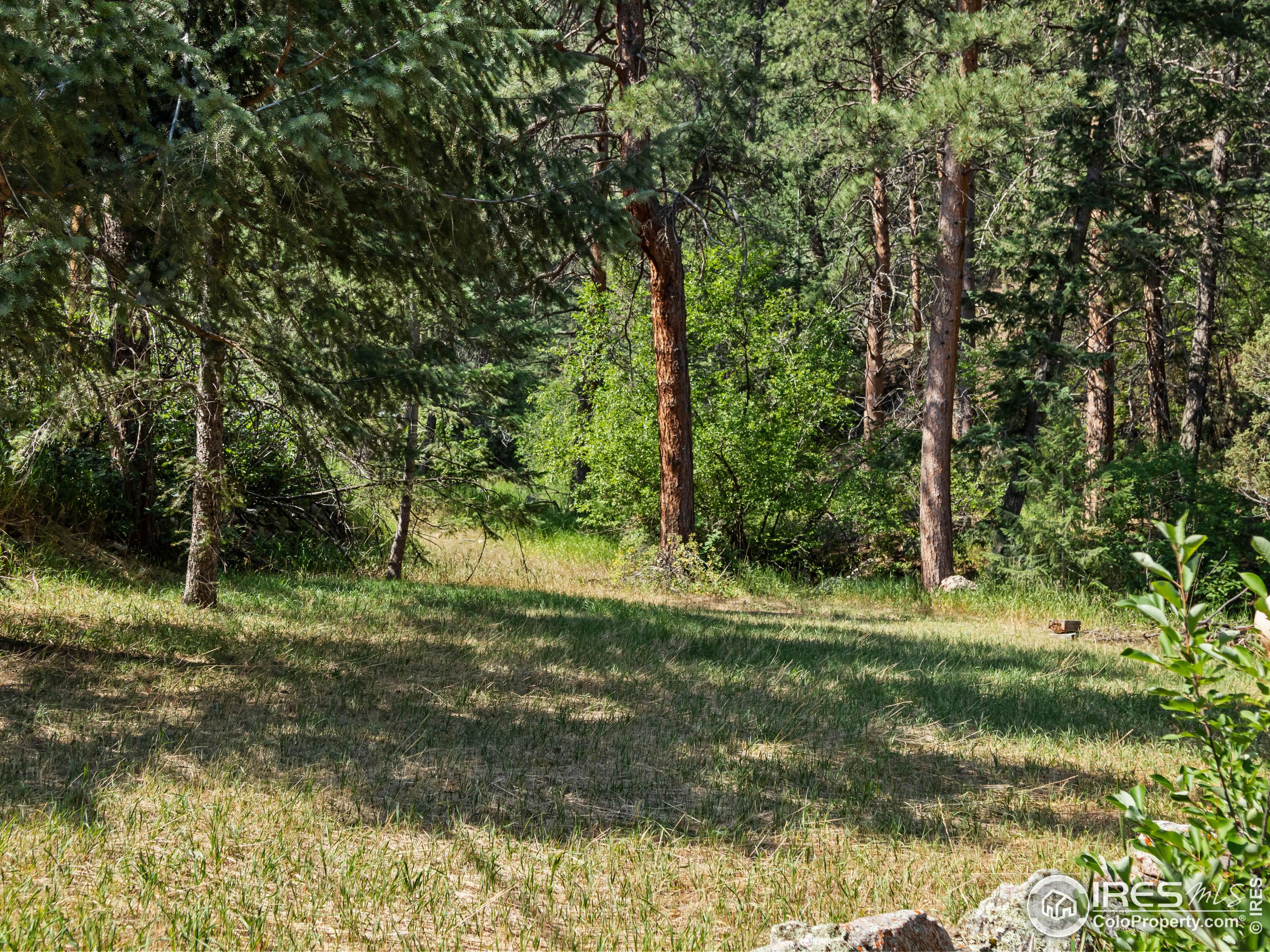 167 Waltonia Rd 171 & 201