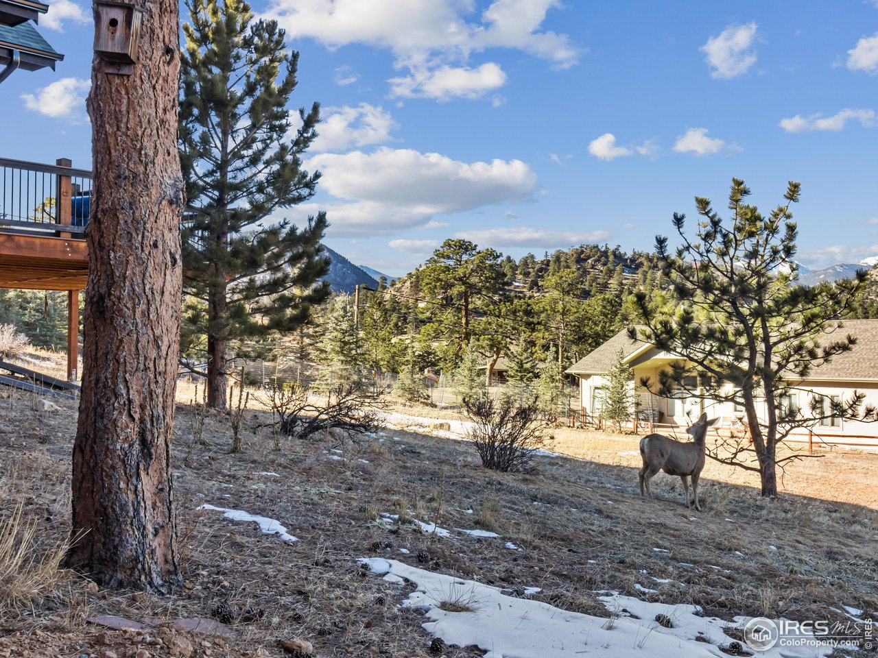 609 Whispering Pines Dr