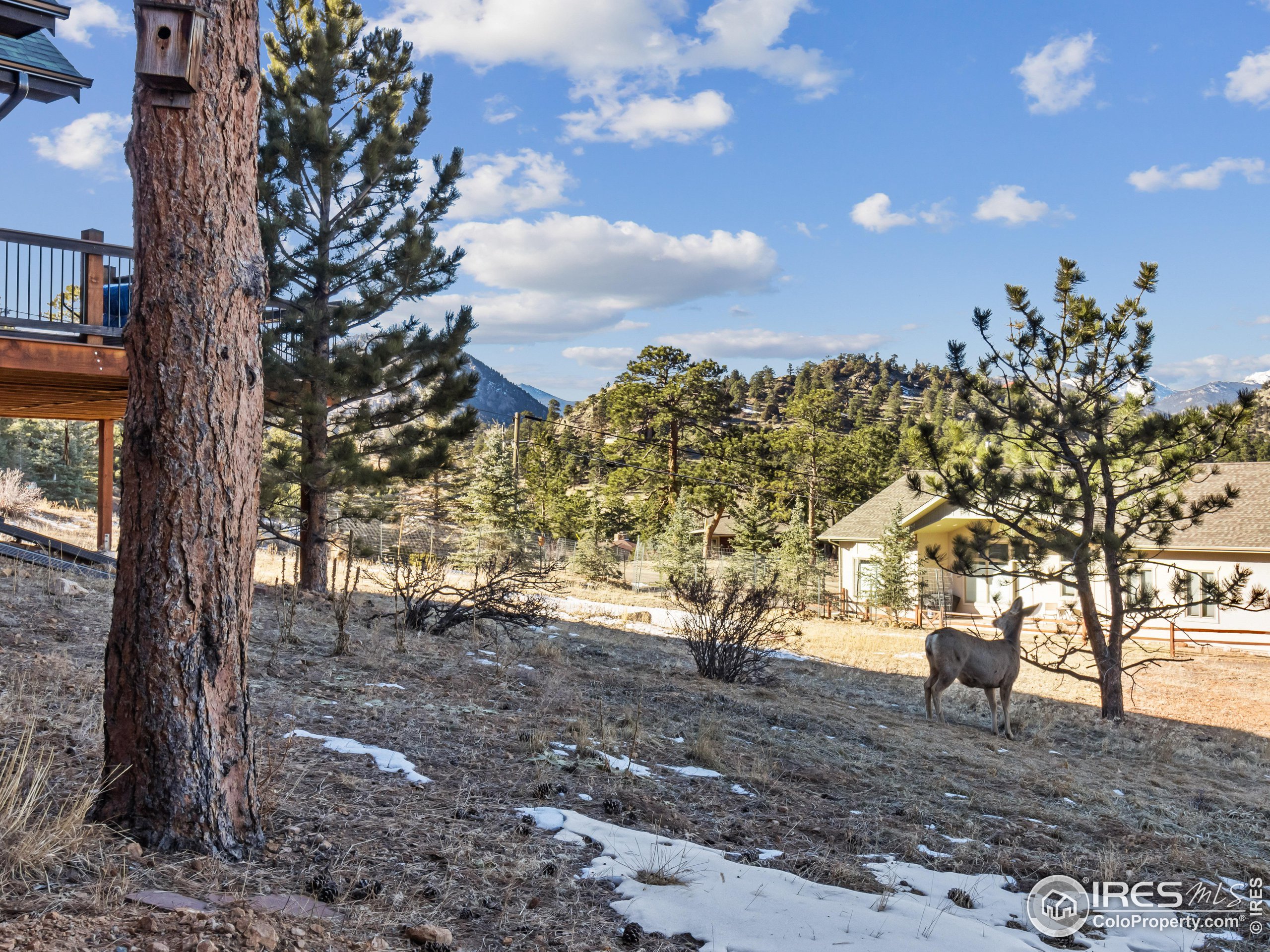 609 Whispering Pines Dr