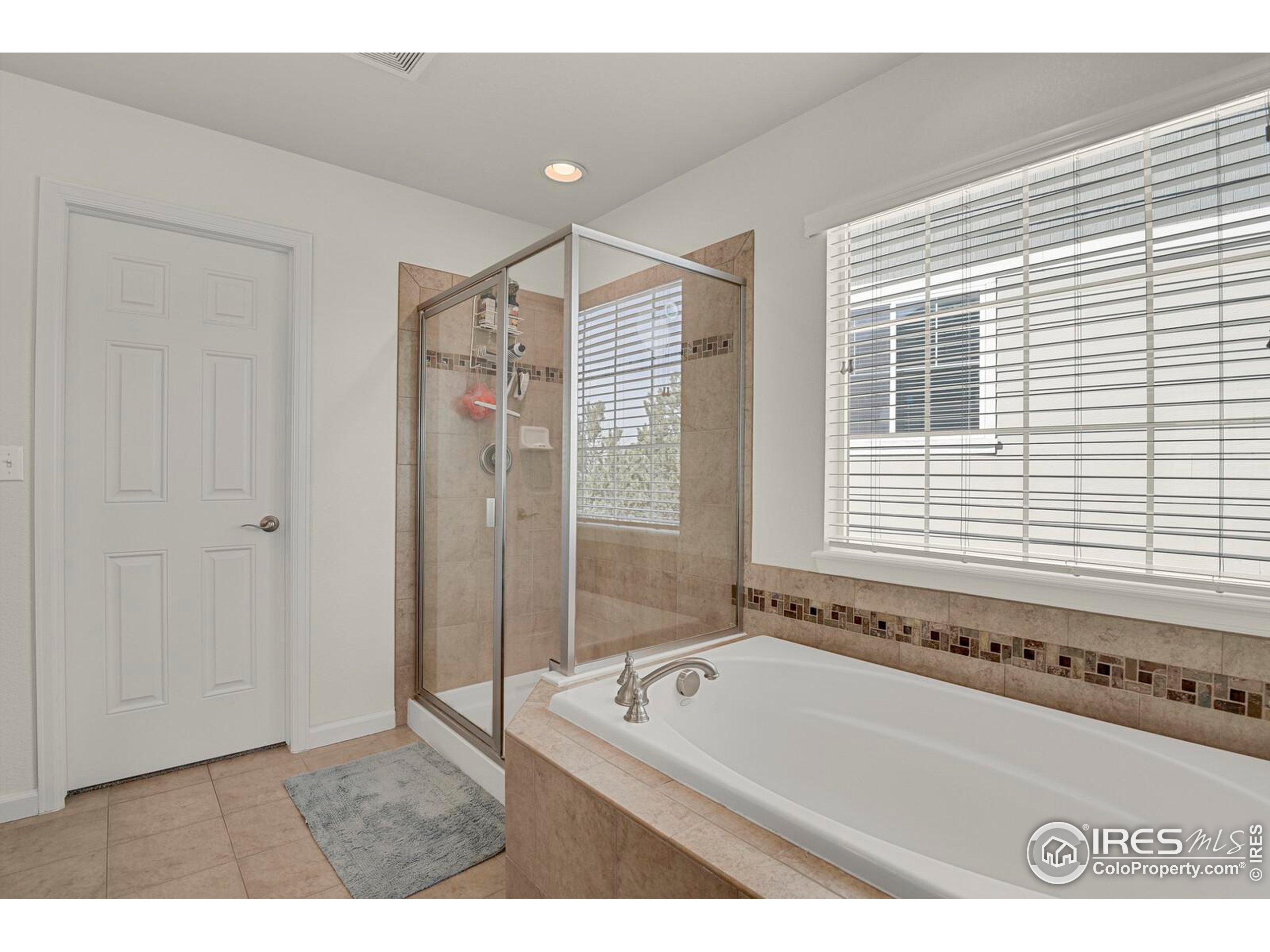 1429 Wandering Way