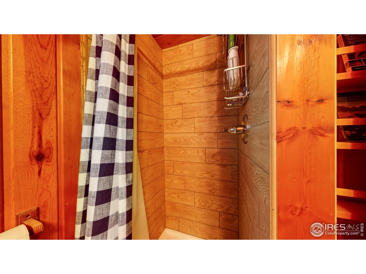 11563 Peak To Peak Dr